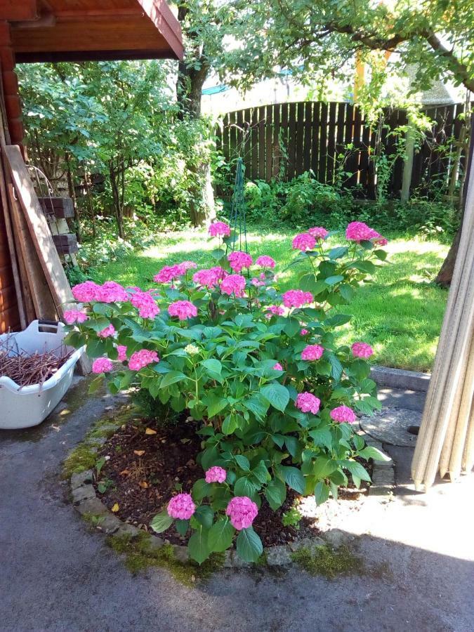 Vila Bbq Lublaň Exteriér fotografie